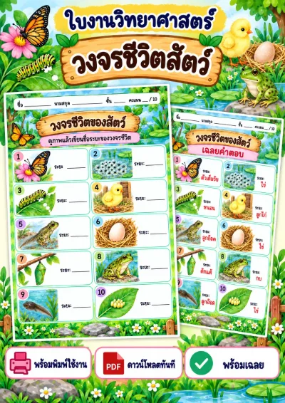 ใบงานวงจรชีวิตของสัตว์ เขียนชื่อระยะ