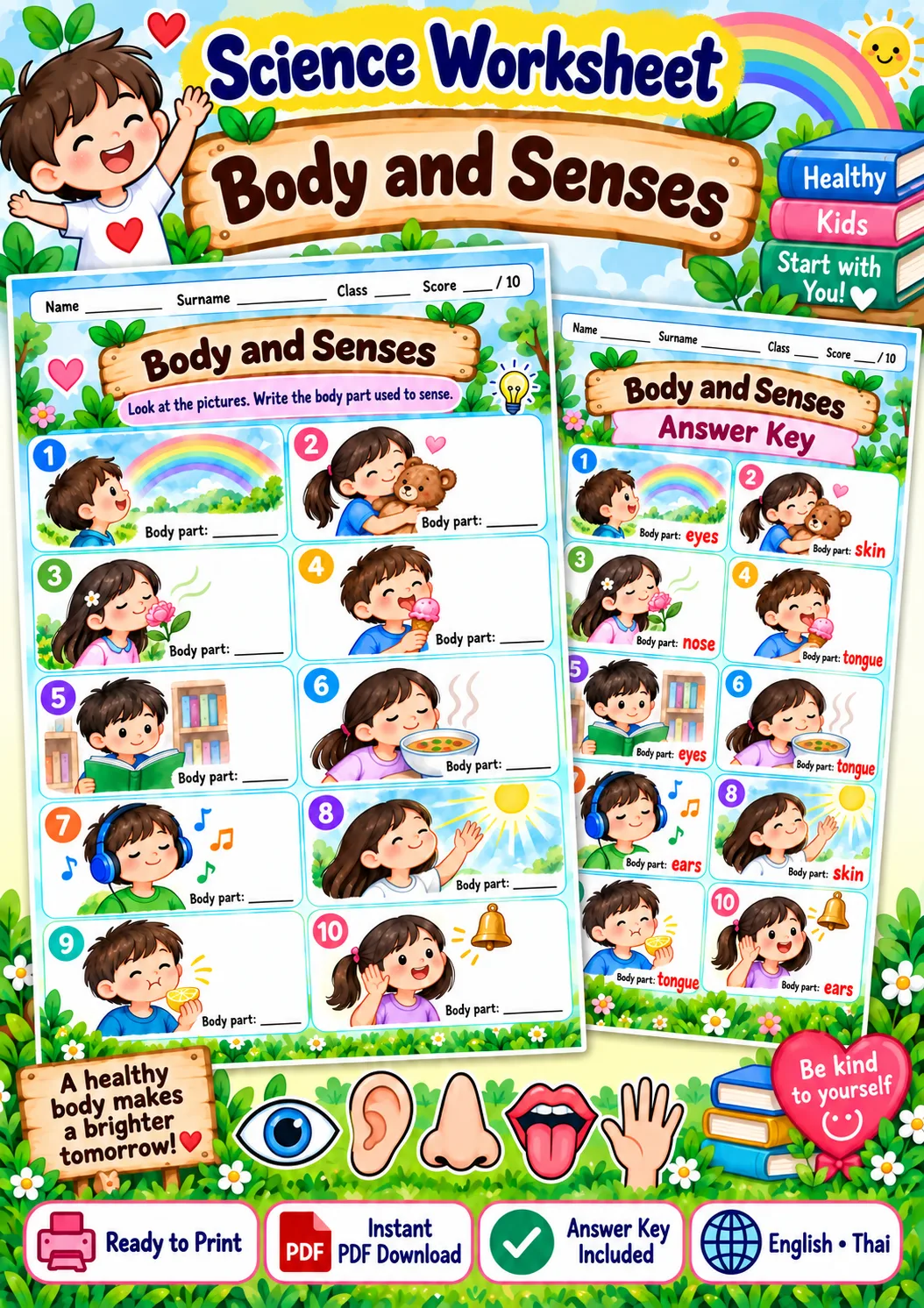 Cover artwork for Body and Senses - Name the Sense Organ, Grades 1-3