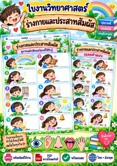 ใบงานร่างกายและประสาทสัมผัส เขียนอวัยวะรับสัมผัส