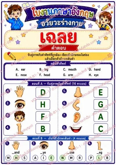 เฉลยใบงานภาษาอังกฤษ Body parts ป.1-3 คำสั่งภาษาไทย - จับคู่ภาพอวัยวะกับคำศัพท์และเลือกตัวอักษรต้นคำ พร้อมเฉลย