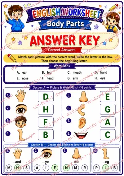 เฉลยใบงานภาษาอังกฤษ Body parts ป.1-3 คำสั่งภาษาอังกฤษ - จับคู่ภาพอวัยวะกับคำศัพท์และเลือกตัวอักษรต้นคำ พร้อมเฉลย