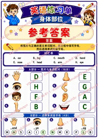 เฉลยใบงานภาษาอังกฤษ Body parts ป.1-3 คำสั่งภาษาจีน - จับคู่ภาพอวัยวะกับคำศัพท์และเลือกตัวอักษรต้นคำ พร้อมเฉลย