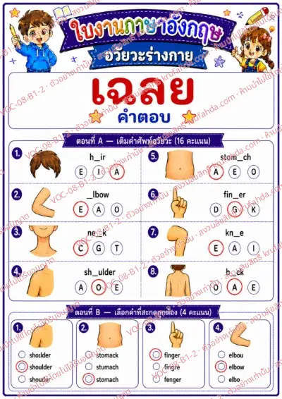 เฉลยใบงานภาษาอังกฤษ Body parts ป.1-3 คำสั่งภาษาไทย - เติมตัวอักษรที่หายไปในคำศัพท์อวัยวะและเลือกคำที่สะกดถูก พร้อมเฉลย