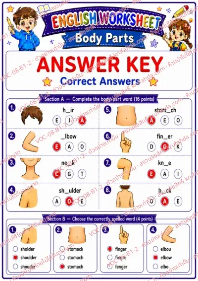 เฉลยใบงานภาษาอังกฤษ Body parts ป.1-3 คำสั่งภาษาอังกฤษ - เติมตัวอักษรที่หายไปในคำศัพท์อวัยวะและเลือกคำที่สะกดถูก พร้อมเฉลย