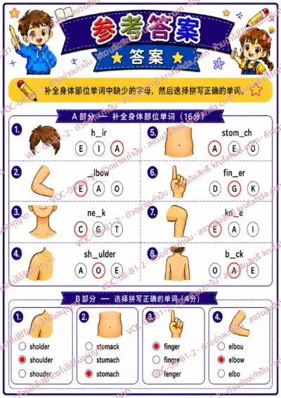 เฉลยใบงานภาษาอังกฤษ Body parts ป.1-3 คำสั่งภาษาจีน - เติมตัวอักษรที่หายไปในคำศัพท์อวัยวะและเลือกคำที่สะกดถูก พร้อมเฉลย