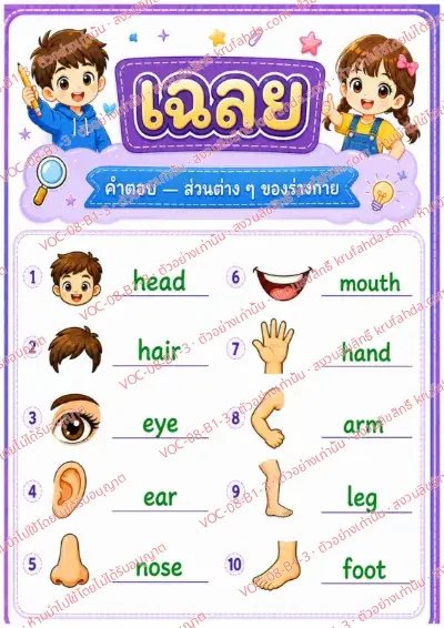 เฉลยใบงานภาษาอังกฤษ Body parts ป.1-3 คำสั่งภาษาไทย - ดูภาพแล้วเขียนคำศัพท์ส่วนต่าง ๆ ของร่างกาย พร้อมเฉลย