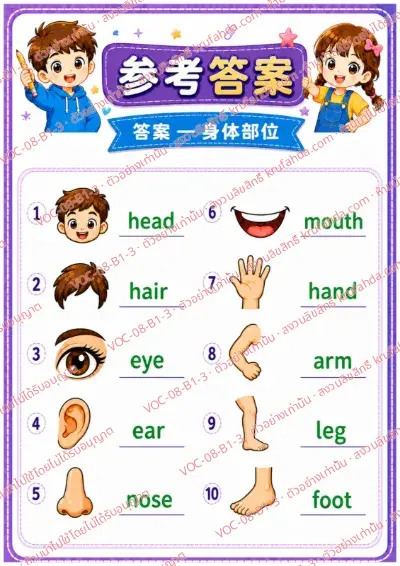 เฉลยใบงานภาษาอังกฤษ Body parts ป.1-3 คำสั่งภาษาจีน - ดูภาพแล้วเขียนคำศัพท์ส่วนต่าง ๆ ของร่างกาย พร้อมเฉลย