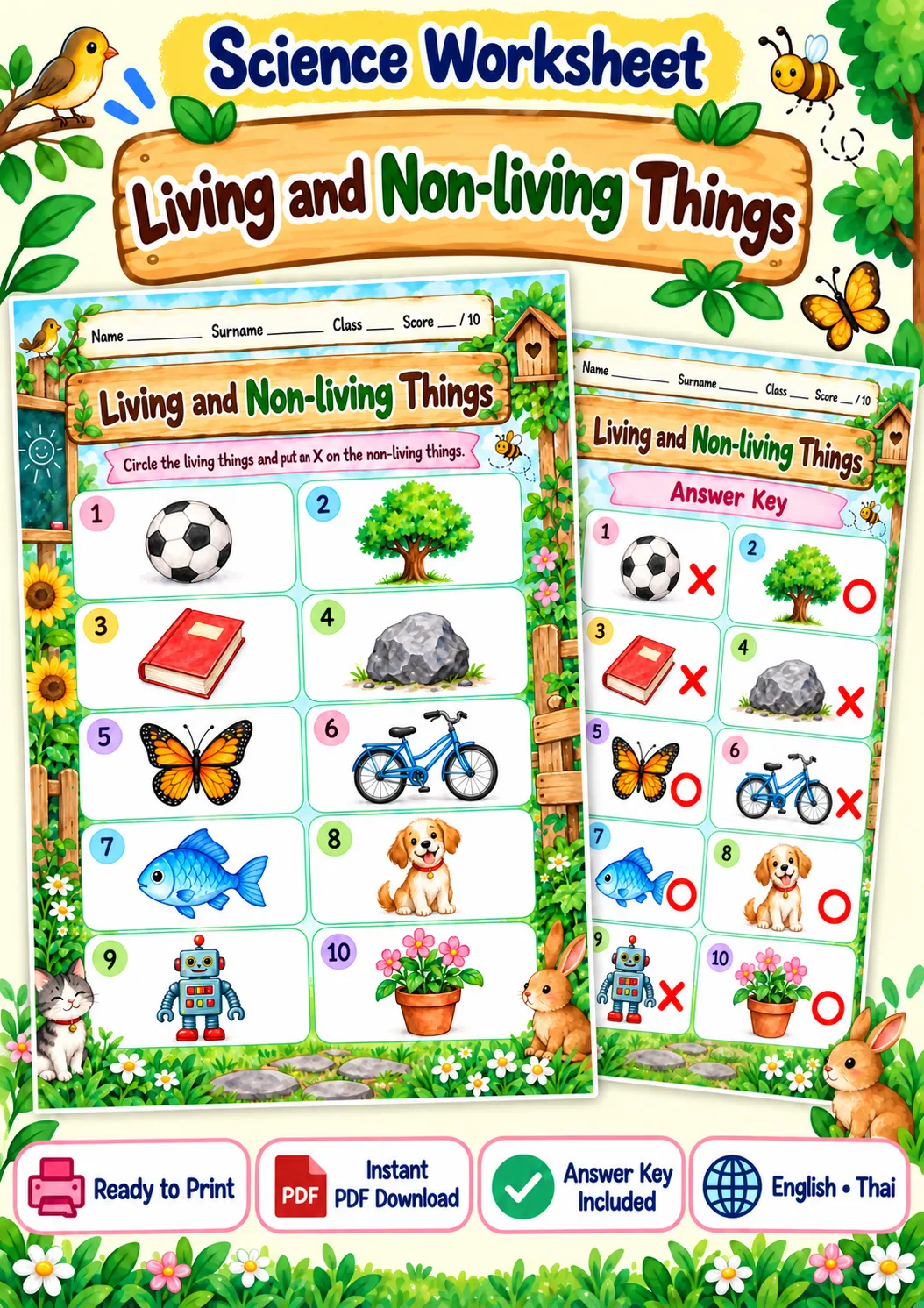 Cover artwork for Living and Non-living Things - Circle and Cross, Grades 1-3