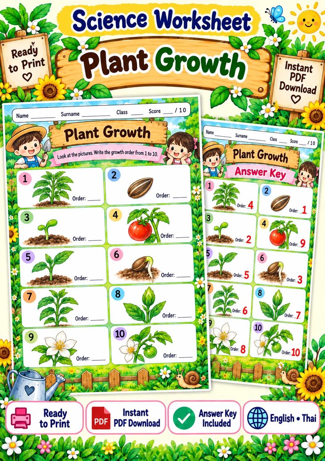 Cover artwork for Plant Growth - Order the Stages, Grades 1-3