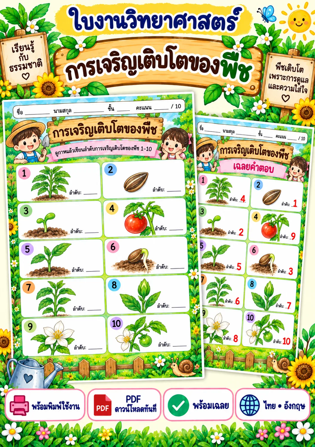 รูปหน้าปกของ ใบงานการเจริญเติบโตของพืช เรียงลำดับการเติบโต ระดับ ป.1-ป.3